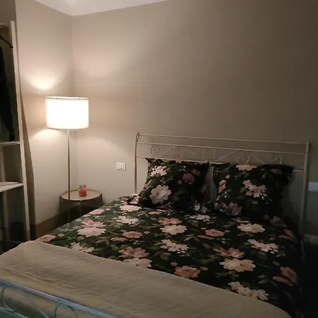 Molo27 Citra 3979 Cenova